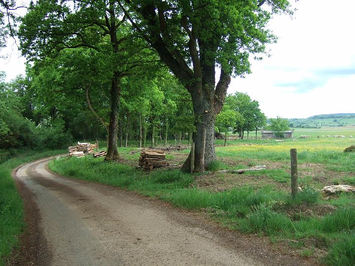 2008-05- (388).JPG - Bois Clos bei Audeloncourt